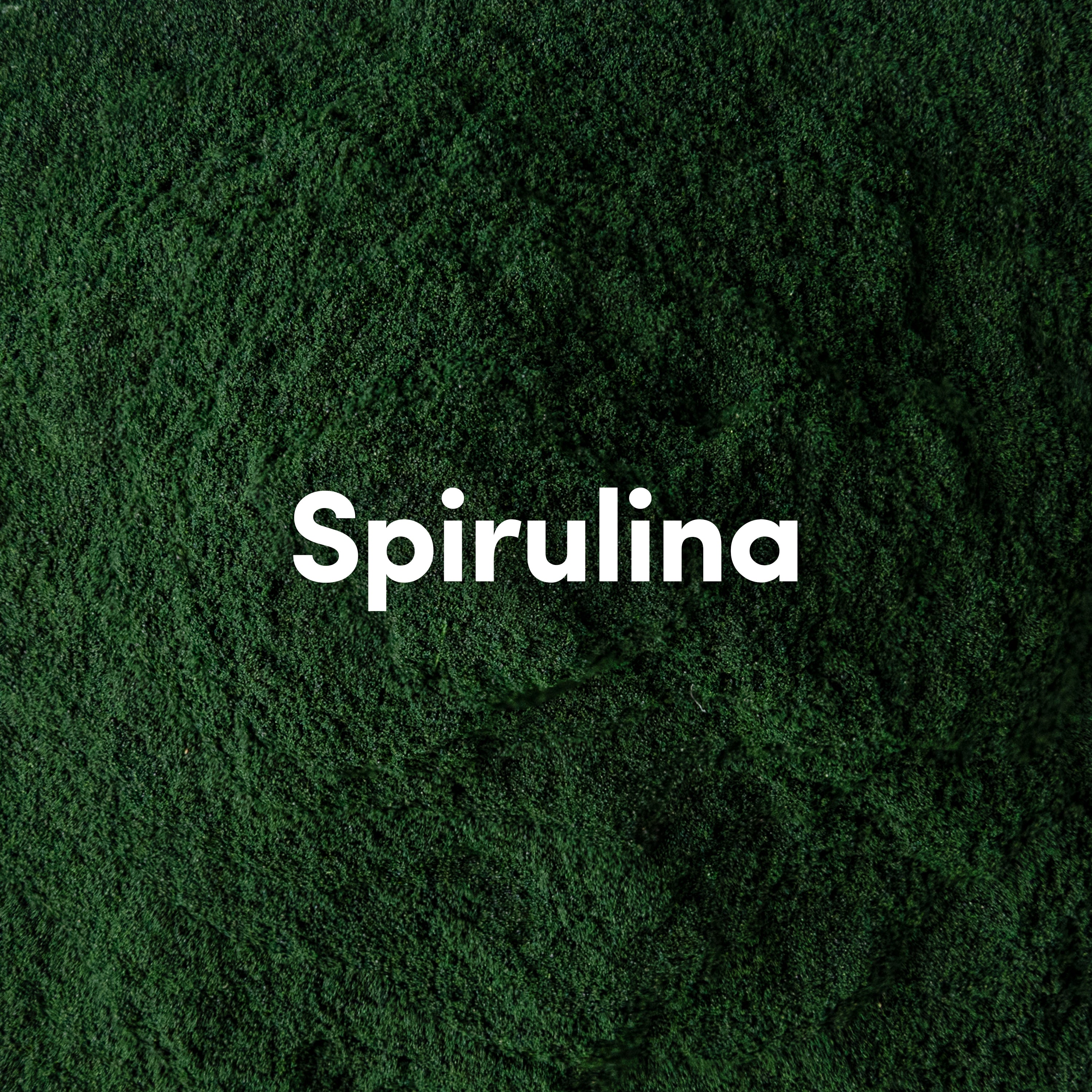 Černý rybíz a Borůvka se Spirulinou
